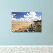 Toile Une Clôture En Fil Barbelé Construite Le Long D'Un (Insitu (Plancher de Bois))