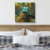 Toile Une Curieuse Forêt De Kelp De Phoque Portuaire | P (Insitu(Chambre))