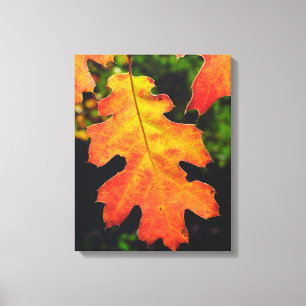 Toile Une feuille de chêne dans la forêt nationale de Si