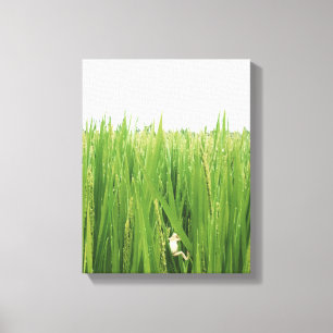 Toile Une grenouille montant les herbes fraîches