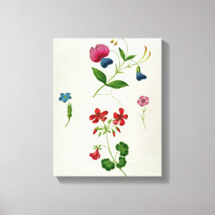 Toile Une illustration 'd'un nouveau traité sur la fleu