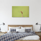 Toile Une libellule repose momentanément sur une mauvais (Insitu(Chambre))