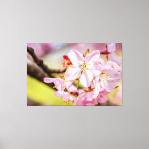 Toile Une Merveilleuse Récolte De Fleurs De Sakura Roses