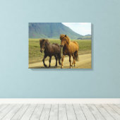 Toile Une paire de poneys islandais Brown (Insitu (Plancher de Bois))