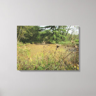 Toile Une photographie de mur d'étang dans les bois