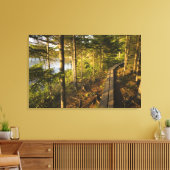 Toile Une promenade en bois dans le parc national Acadia (Insitu(Salon))