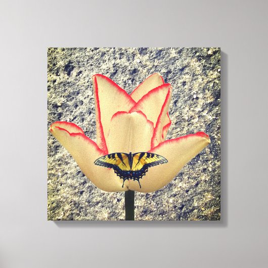 Toile Une tulipe et un papillon (Recto)