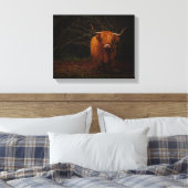 Toile Une vache écossaise des Highlands (Insitu(Chambre))