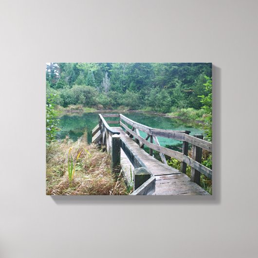 Toile Union Spring - Porcupine Mountain Wilderness (Recto)