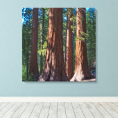 Toile USA, Californie. Troncs de séquoia, Mariposa (Insitu (Plancher de Bois))