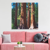 Toile USA, Californie. Troncs de séquoia, Mariposa (Insitu(Salon))