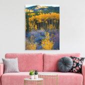 Toile USA, Colorado. Bright Yellow Aspens dans les Roche (Insitu(Salon))
