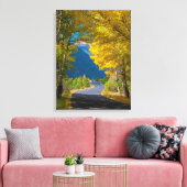 Toile USA, Colorado. Route Flanquée Par Aspens (Insitu(Salon))