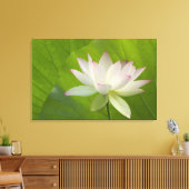 Toile USA, DC, Washington, Kenilworth Aquatic (Insitu(Salon))