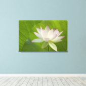 Toile USA, DC, Washington, Kenilworth Aquatic (Insitu (Plancher de Bois))