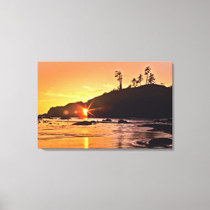 Toile USA, Etat de Washington, Parc National Olympique.