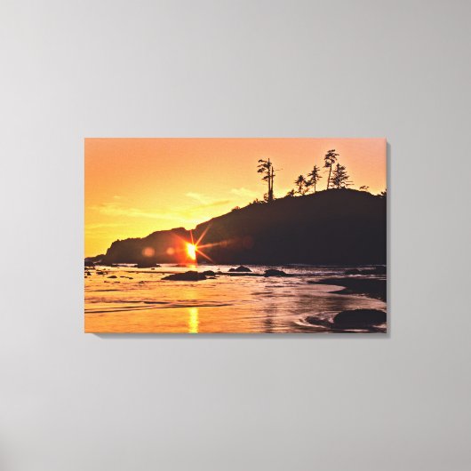 Toile USA, Etat de Washington, Parc National Olympique.  (Recto)