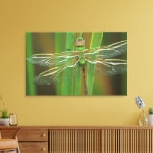 Toile USA, Géorgie. Dragonfly vert sur roseaux (Insitu(Salon))