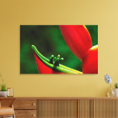 Toile USA, Hawaï, Hilo. Heliconia (Insitu(Salon))