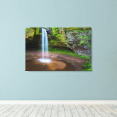 Toile USA, Michigan. Scott's Falls dans le Haut Michigan (Insitu (Plancher de Bois))