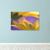 Toile USA, Pennsylvanie. Poissons de Gerbera jaune, proc (Insitu (Plancher de Bois))