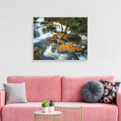 Toile USA, Pennsylvanie, Ricketts Glen State Park (Insitu(Salon))