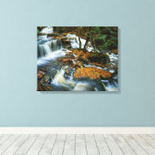 Toile USA, Pennsylvanie, Ricketts Glen State Park (Insitu (Plancher de Bois))