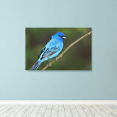 Toile USA, Texas, South Padre Island (Insitu (Plancher de Bois))