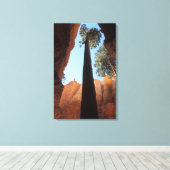 Toile USA, Utah, Bryce Canyon National Park. Grand (Insitu (Plancher de Bois))