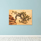 Toile USA, Utah, Zion National Park. Pin (Insitu (Plancher de Bois))
