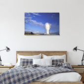 Toile USA, Wyoming. Parc national de Yellowstone. Vieux (Insitu(Chambre))