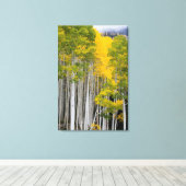 Toile Utah. États-Unis. Peupliers trembles (Populus Trem (Insitu (Plancher de Bois))