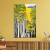 Toile Utah. États-Unis. Peupliers trembles (Populus Trem (Insitu(Salon))