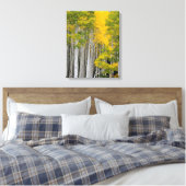 Toile Utah. États-Unis. Peupliers trembles (Populus Trem (Insitu(Chambre))
