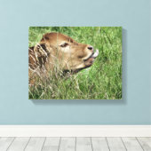 TOILE VACHE (Insitu (Plancher de Bois))