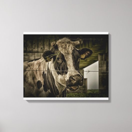 Toile vache (Recto)