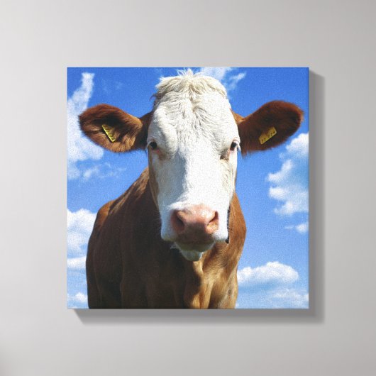 Toile Vache bavaroise contre ciel bleu (Recto)