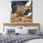 Toile Vache et veau en foin (Insitu(Chambre))