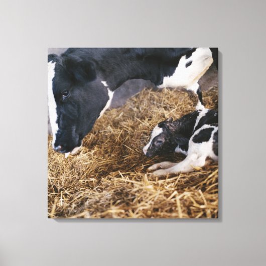 Toile Vache et veau en foin (Recto)