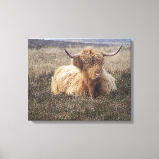 Toile Vache Highland sur Dartmoor (Recto)