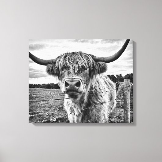 Toile Vache noire et blanche des Highlands (Recto)