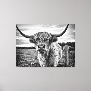 Toile Vache noire et blanche des Highlands