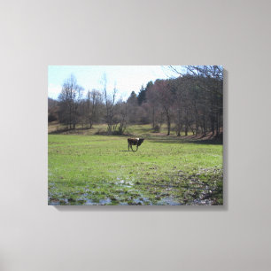 Toile Vache solitaire