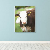 Toile Vaches dans le pâturage, gros plan (Insitu (Plancher de Bois))