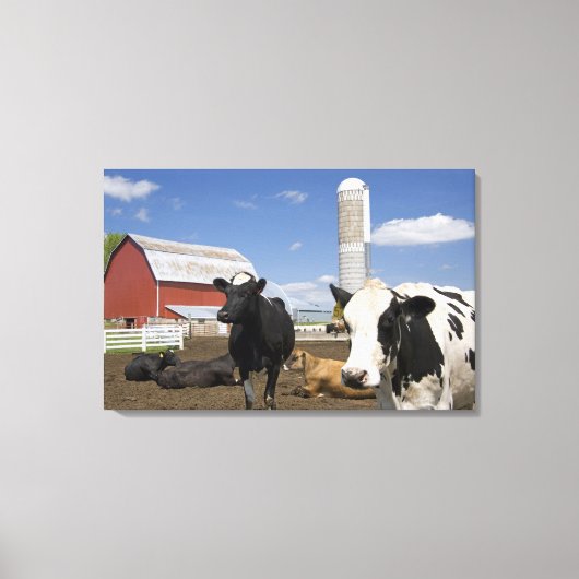 Toile Vaches devant une grange rouge et un silo dans une (Recto)