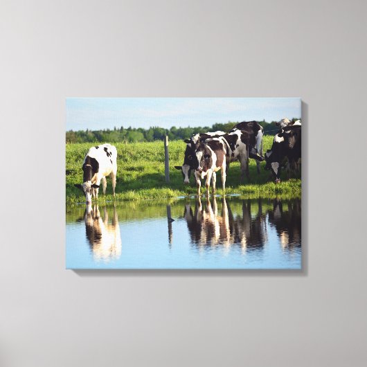 Toile Vaches Holstein noires et blanches prenant un verr (Recto)