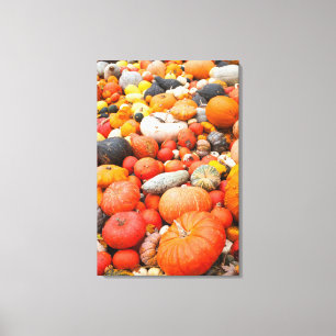 Toile Variété de courge à vendre, Allemagne