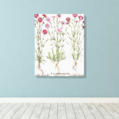 Toile Variété de Dianthus, du "Hortus Ey" (Insitu (Plancher de Bois))