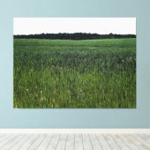 Toile Vaste Champ Vert sous un Ciel Clair (Insitu (Plancher de Bois))