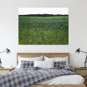 Toile Vaste Champ Vert sous un Ciel Clair (Insitu(Chambre))